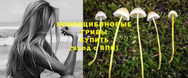 кокаин колумбия Алексин